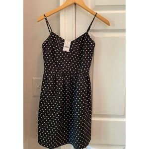 J crew polka dot dress